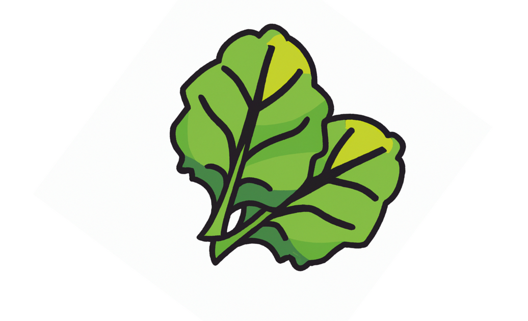 Growing Hydroponic Collard Greens IGWorks