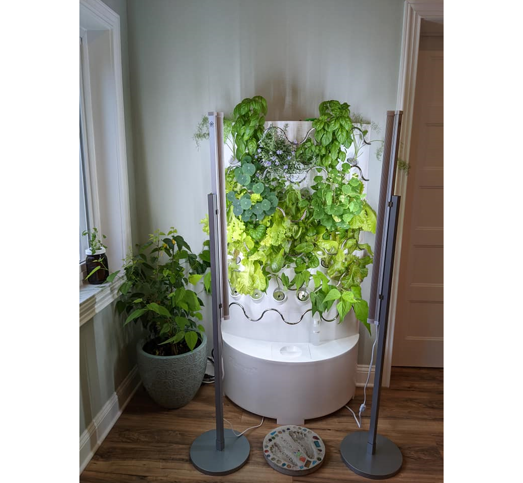 power plant indoor soilless gardening The iHarvest® Complete Package